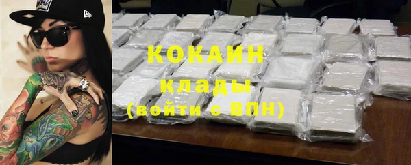 крисы Богородицк