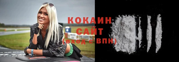 крисы Богородицк