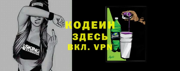 крисы Богородицк