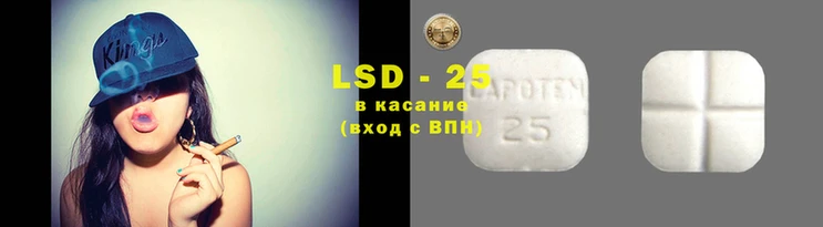 крисы Богородицк