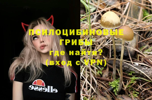 кристаллы Богородск