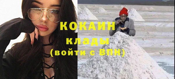 крисы Богородицк
