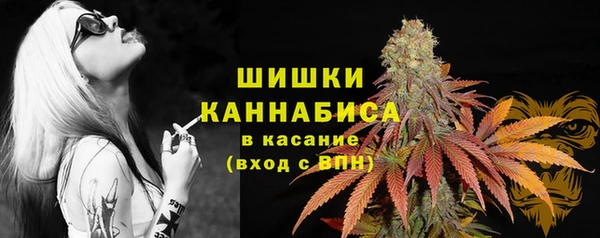 крисы Богородицк