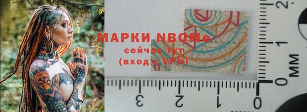 крисы Богородицк